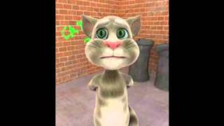 Kedi Abi Tophane Macerası