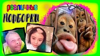 Различные ПОДБОРКИ/Жестокие ФЭЙЛЫ/Милые подборки/НЕУДАЧИ ЖЕСТОКИЕ/Расслабляющие подборки