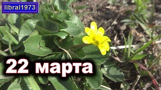 Теплый денек 22 марта