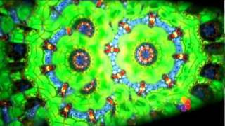 Калейдоскоп - Kaleidoscope - Kaleidoskop