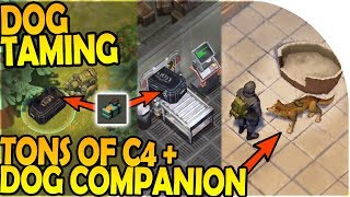 PET DOG COMPANION - TONS of C4 + PET DOG TAMING - Last Day On Earth Survival 1.7.1 Update