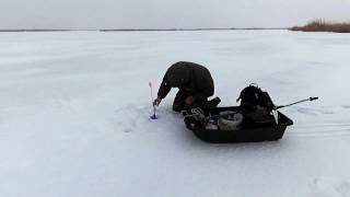 Щука на жерлицы февраль 2017 Веселовское водохранилище