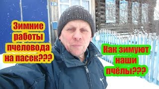 ???2020 г. БУДНИЙ ДЕНЬ  ПЧЕЛОВОДА, ЗИМОВКА ПЧЁЛ, РАБОТА  С РАМКАМИ И СНЕГОМ.