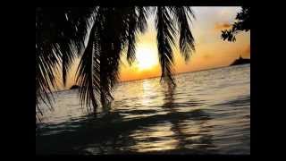 Vlegel - After Night In Ibiza (Naeba Remix)