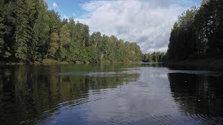 Приказано выжить. 4дн. сплав по Луге до Кингисеппа. Ч.3. Ветер в харю, а я шпарю.
