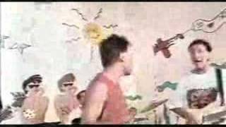 Nsq y Nsc- Los patos y los patas