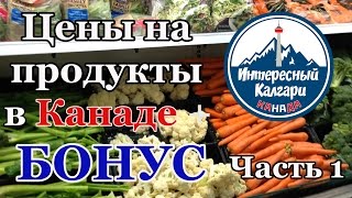 ЦЕНЫ НА ПРОДУКТЫ В КАНАДЕ 2016 + БОНУС! Часть 1 | ИНТЕРЕСНЫЙ КАЛГАРИ. КАНАДА #20
