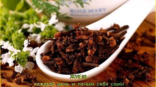 ГВОЗДИКА СУШЕНАЯ ДЛЯ ПОЖИЛОГО ВОЗРАСТА. КАК ОПРЕДЕЛИТЬ ПОЛЕЗНЫЕ СВОЙСТВА ,ЧТО МОЖНО ЛЕЧИТЬ