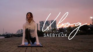 [황아영  VLOG] 11월의 마지막 한강, 그리고 새벽 요가 수련ㅣSAEBYEOK  YOGA✨