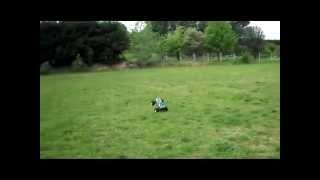Hpi e-zilla e savage demo
