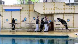 Sealions Rapperswil 5v5