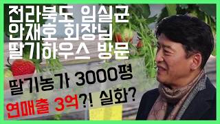 [메디풀TV] 딸기농가 3000평이 연매출 3억?!??!? 전라북도 임실군 안재호 회장님 딸기하우스 방문! 비법대공개!!