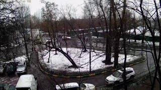 Как снимает IP камера видеонаблюдения AXI XL83IP днем