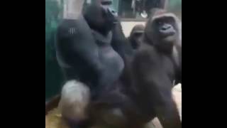 ALEYNA TİLKİ MEGA İFŞA