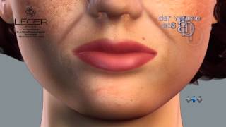Bioplastia Clínica Leger com Bioplastia Facial e Corporal RJ SP RS