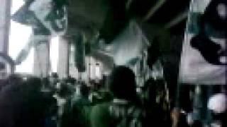 Sector Adicto - Ultras Cali - Frente Radical Verdiblanco