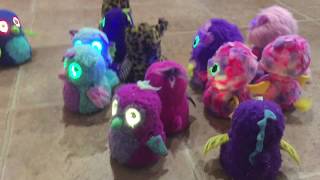 Hatchimal Christmas Party Overload!! SO MANY HATCHIMALS! Golden Lynx, Draggles, ligulls, Giravens
