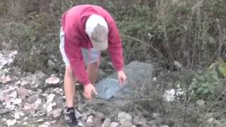 Setting a Live Trap For Rabbits (How To)