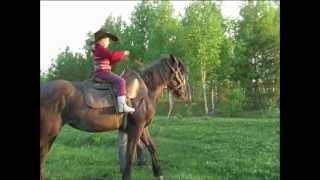 альбина и ласточка.(лошадка) wmv