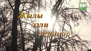 "Җылы эзли җаннар" сериалы турында фильм / Фильм о сериале "Җылы эзли җаннар" | ТНВ