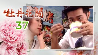 牡丹花開 Peony In Bloom EP.037