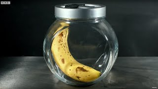 How To Ripen Fruit Faster | Earth Lab