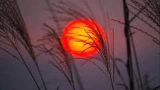 YQT Oan Thu Phong Lac Diep   Dau Xua