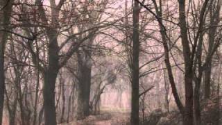 Of The Wand And The Moon ~ Midnight Will