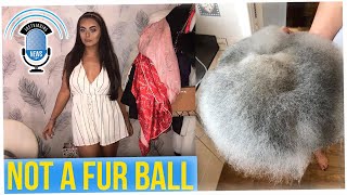 Massive Moldy Fur Ball Forms on Food Left in Microwave for Over a Week