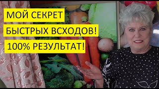 Как ускорить всходы томатов? Так я получаю быстрые и дружные всходы томатов и перцев!