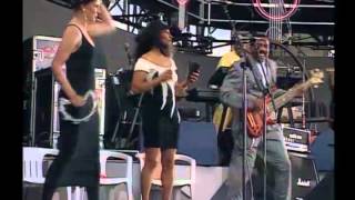 KNEBWORTH-erick clapton (terin us apart)