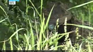 Прибор "АНТИСНАЙПЕР" - оружие возмездия.