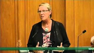 Marriage (Definition of Marriage) Amendment Bill - Second Reading - Part 3