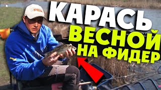 Ловля весеннего карася с Алексеем Пугачем.