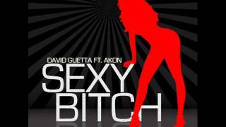 David Guetta ft. Akon - Sexy Bitch Bass Boosted