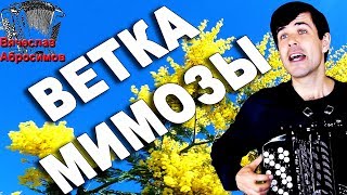 ВЕТКА МИМОЗЫ под баян   поет Вячеслав Абросимов