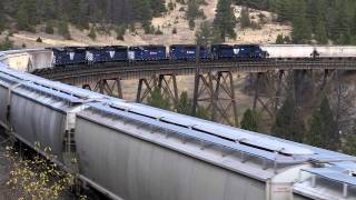 Varied Locos on Grain train