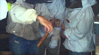 Bijencursus met Piet Kuijs - Doppen breken