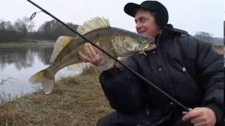 Братья Щербаковы (Выпуск 65)