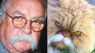 Animais parecidos com pessoas