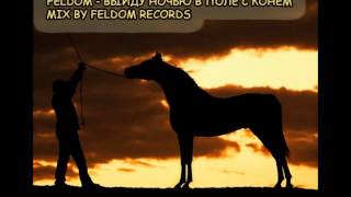 FELDOM - ВЫЙДУ НОЧЬЮ В ПОЛЕ С КОНЁМ - MIX BY FELDOM RECORDS