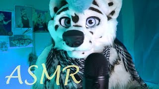 Comet Tries ASMR (For Sleepy Time!)