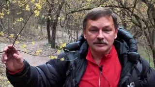 Крымский маршрут 2016. Мангуп. Вопросов больше, чем ответов.