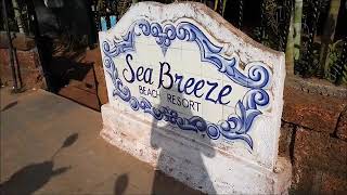 Только приехали в Индию.Северный Гоа. Sea Breeze Resort Candolim 3*О