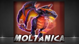 The Dragon Hero: Moltanica Most Powerful Hero in Castle Clash?