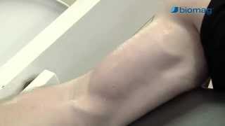 11 pulsed magnetic therapy effects regeneration
