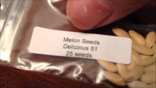 Ebay survival seeds