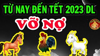 Chỉ Đích Danh 3 Con Giáp TÚNG THIẾU Tiền Mặt Chú Ý Kẻo Vỡ Nợ Từ Nay Đến Tết 2023