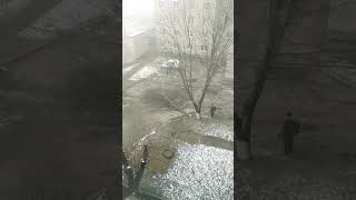 Дроворуб lvl 89