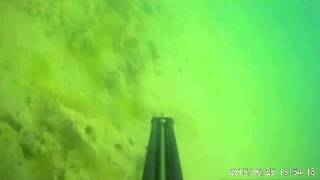 Подводная охота Железный Порт